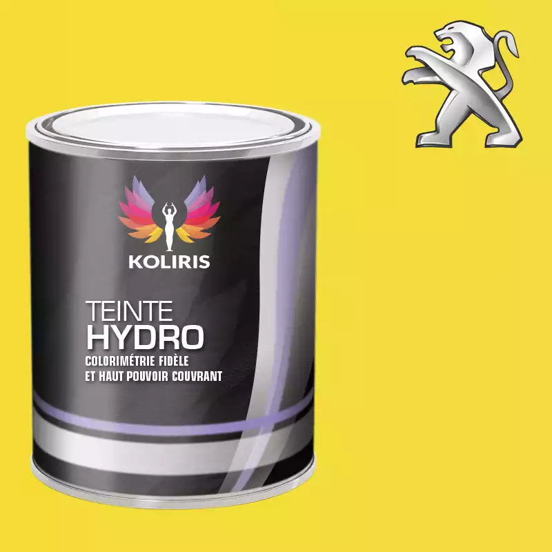 Peinture voiture hydro Peugeot