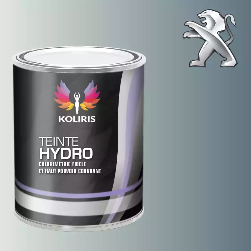 Peinture voiture hydro Peugeot