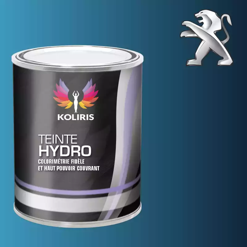 Peinture voiture hydro Peugeot