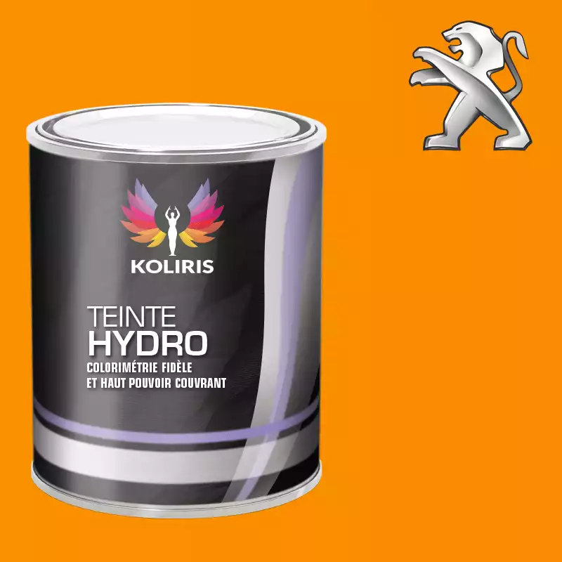 Peinture voiture hydro Peugeot