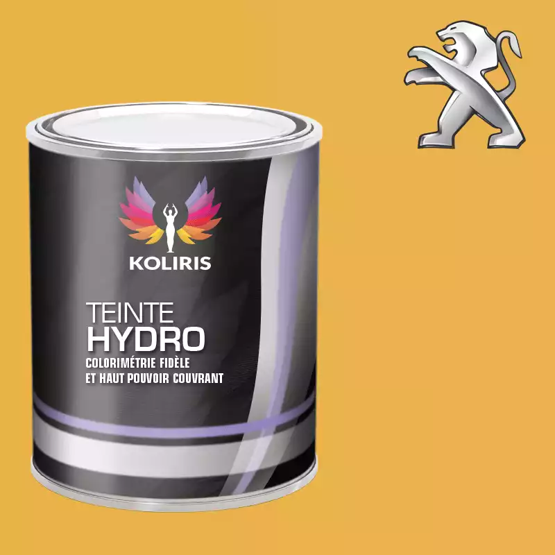 Peinture voiture hydro Peugeot