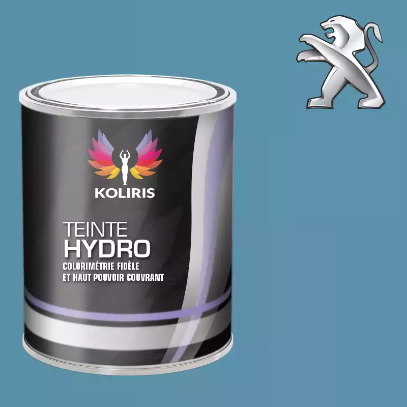 Peinture voiture hydro Peugeot