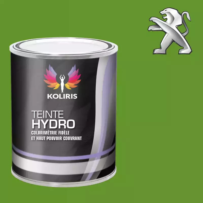 Peinture voiture hydro Peugeot