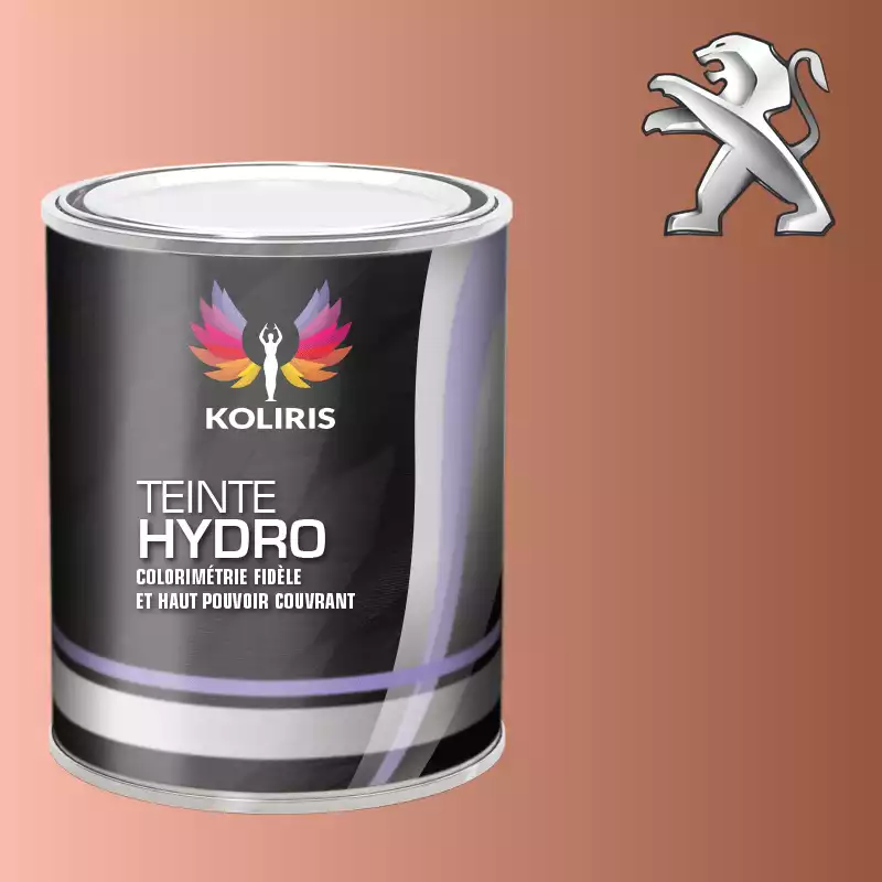 Peinture voiture hydro Peugeot