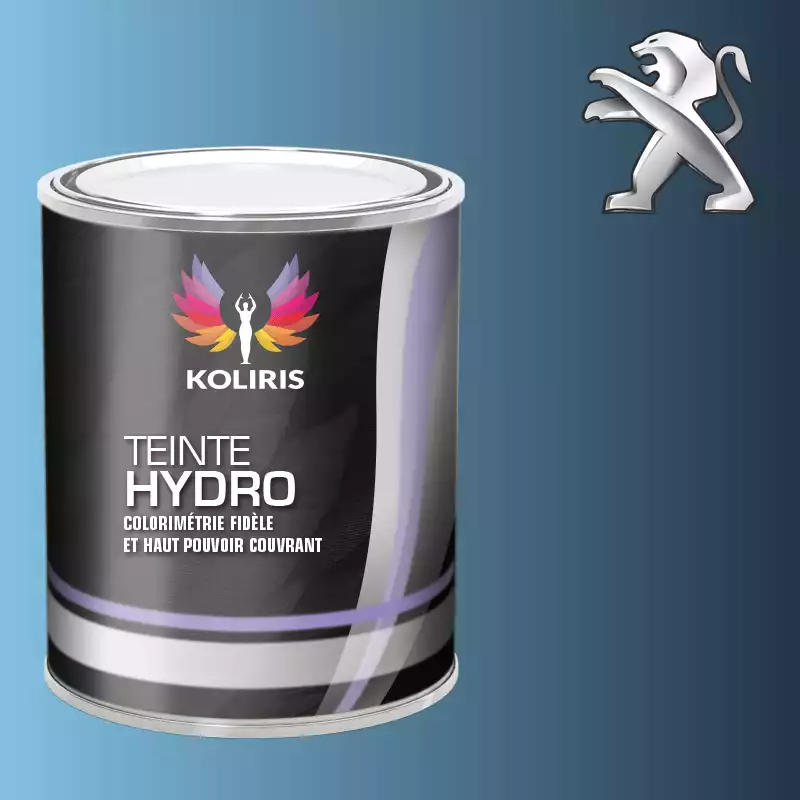 Peinture voiture hydro Peugeot