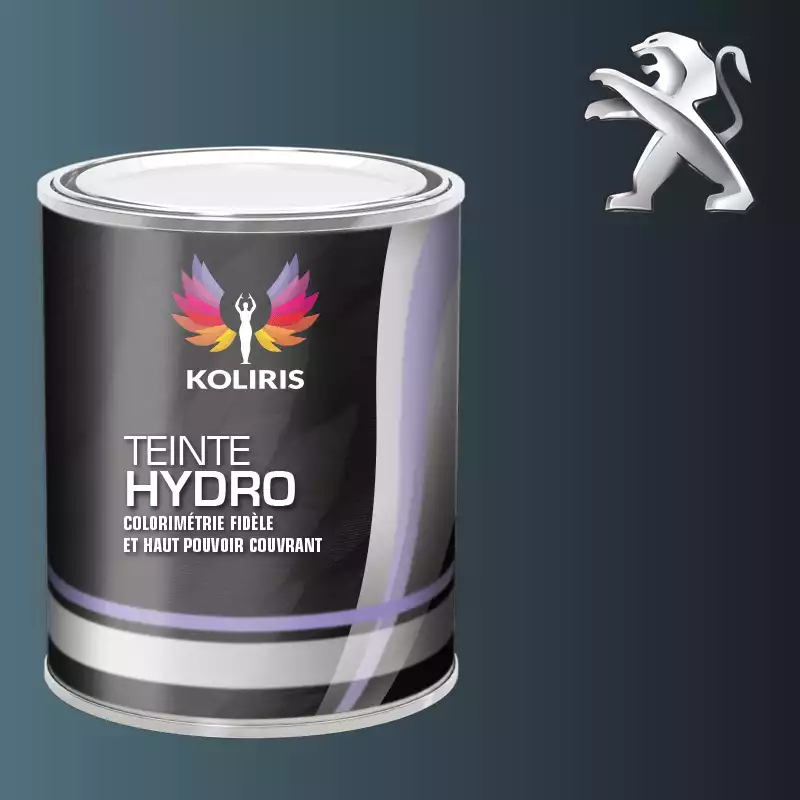 Peinture voiture hydro Peugeot