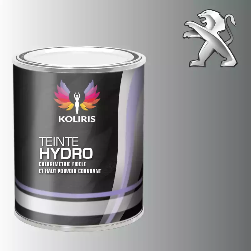 Peinture voiture hydro Peugeot