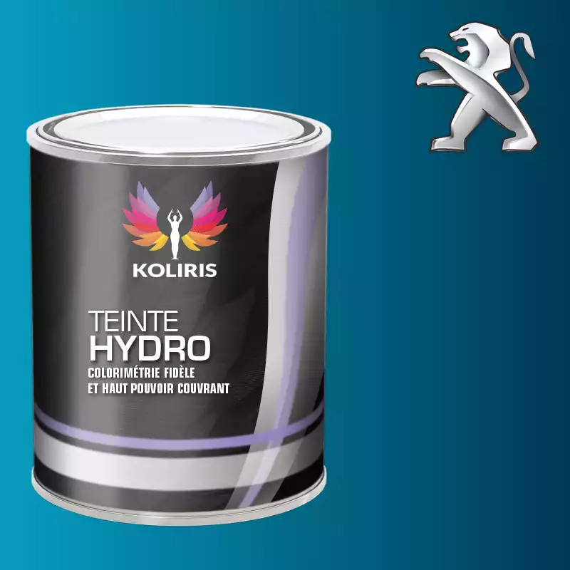 Peinture voiture hydro Peugeot