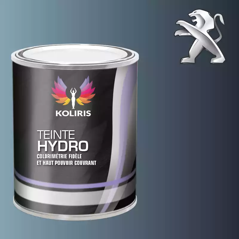 Peinture voiture hydro Peugeot