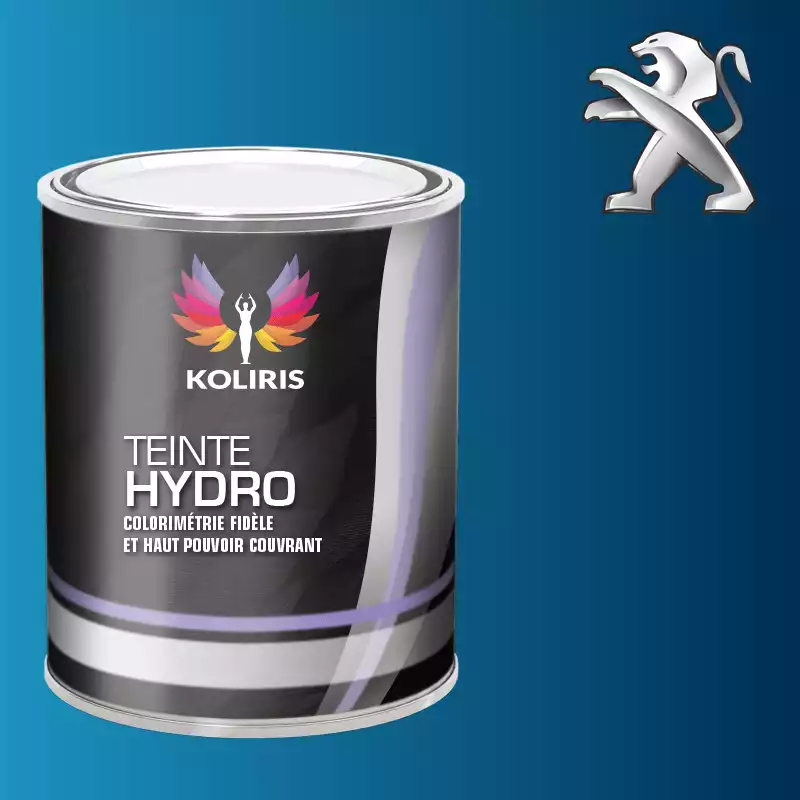 Peinture voiture hydro Peugeot