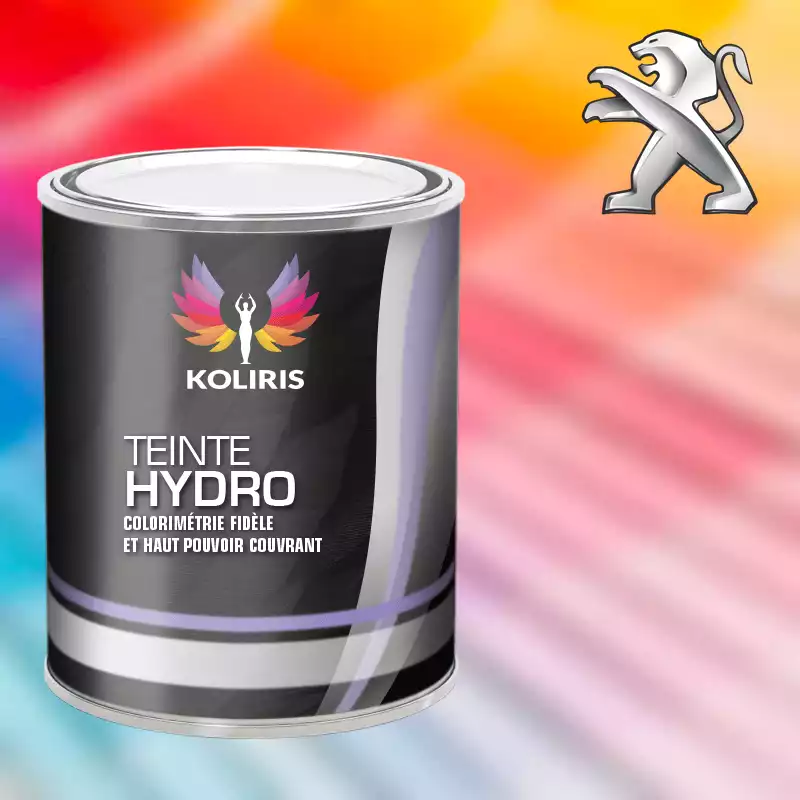 Peinture voiture hydro Peugeot