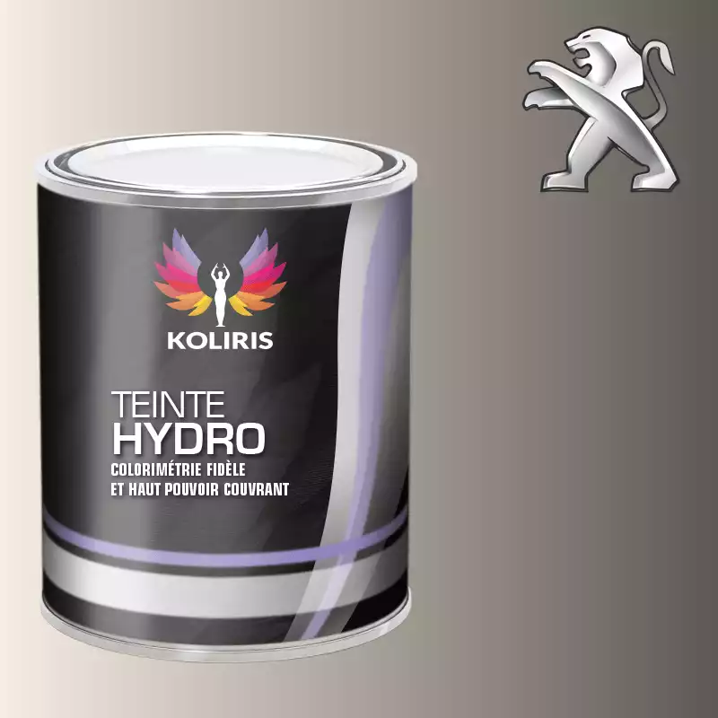 Peinture voiture hydro Peugeot