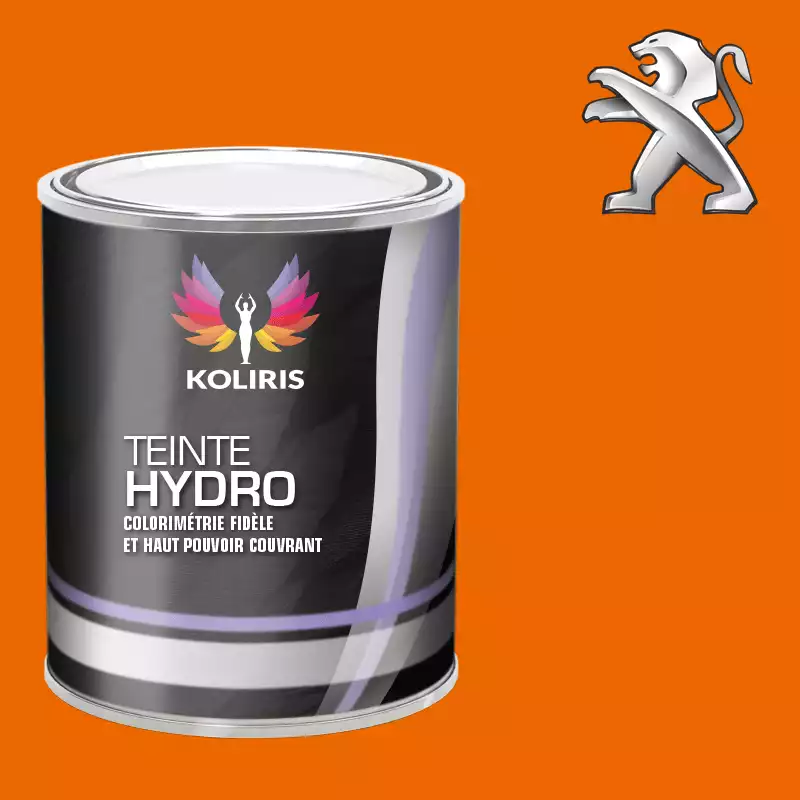 Peinture voiture hydro Peugeot