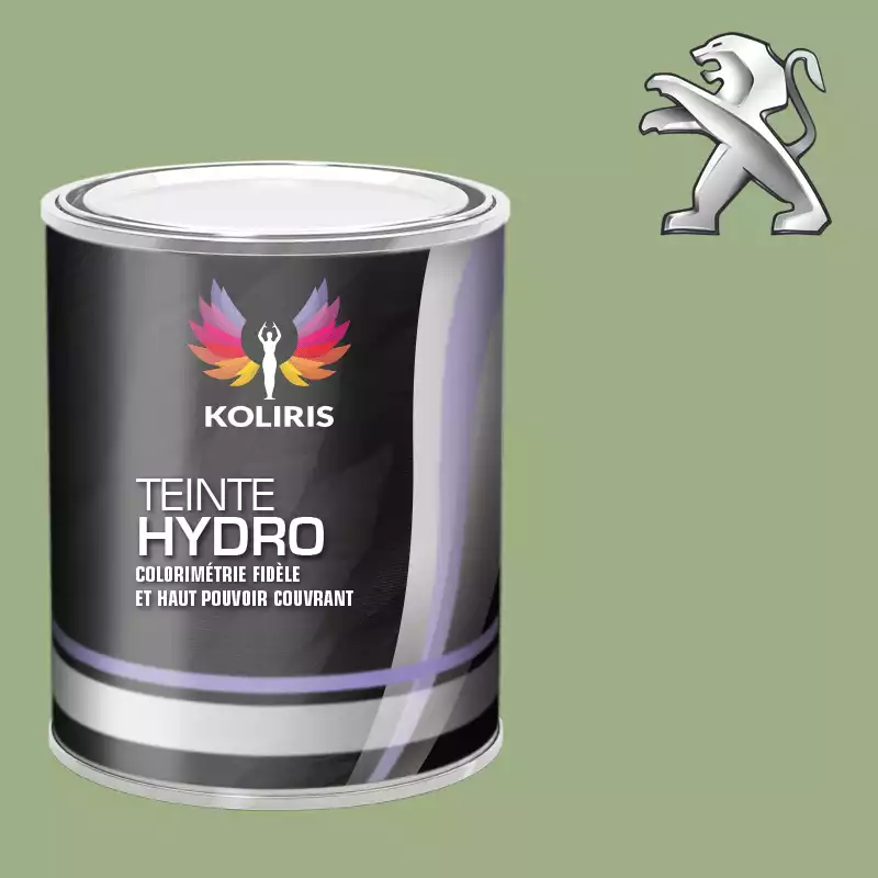 Peinture voiture hydro Peugeot