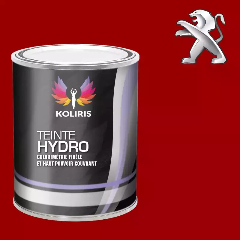 Peinture voiture hydro Peugeot