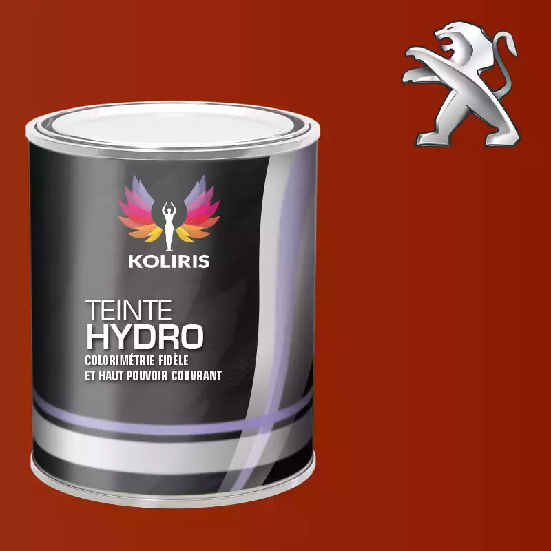 Peinture voiture hydro Peugeot