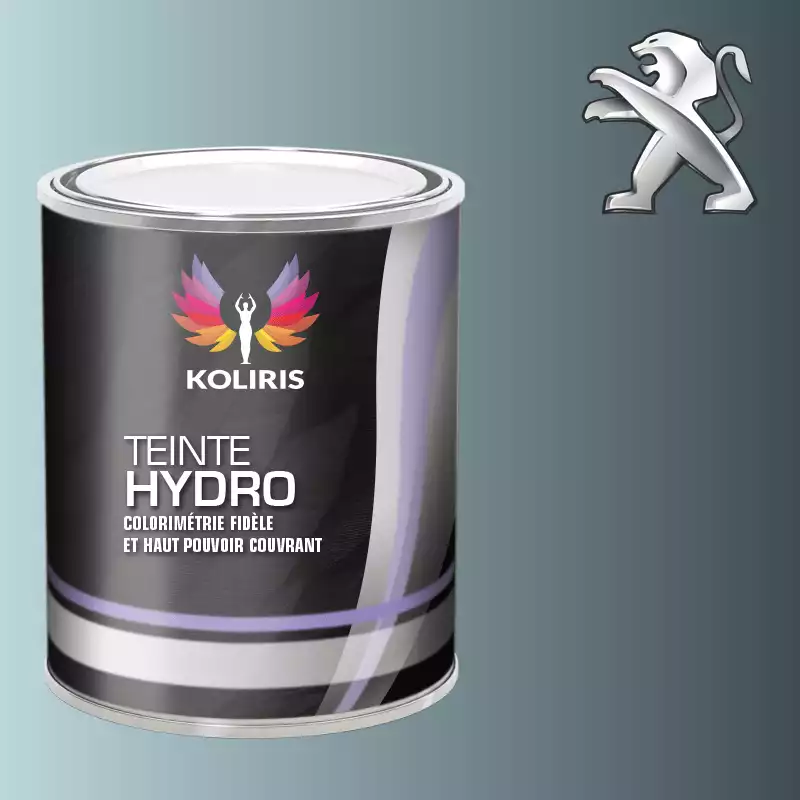 Peinture voiture hydro Peugeot