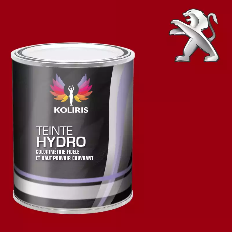 Peinture voiture hydro Peugeot