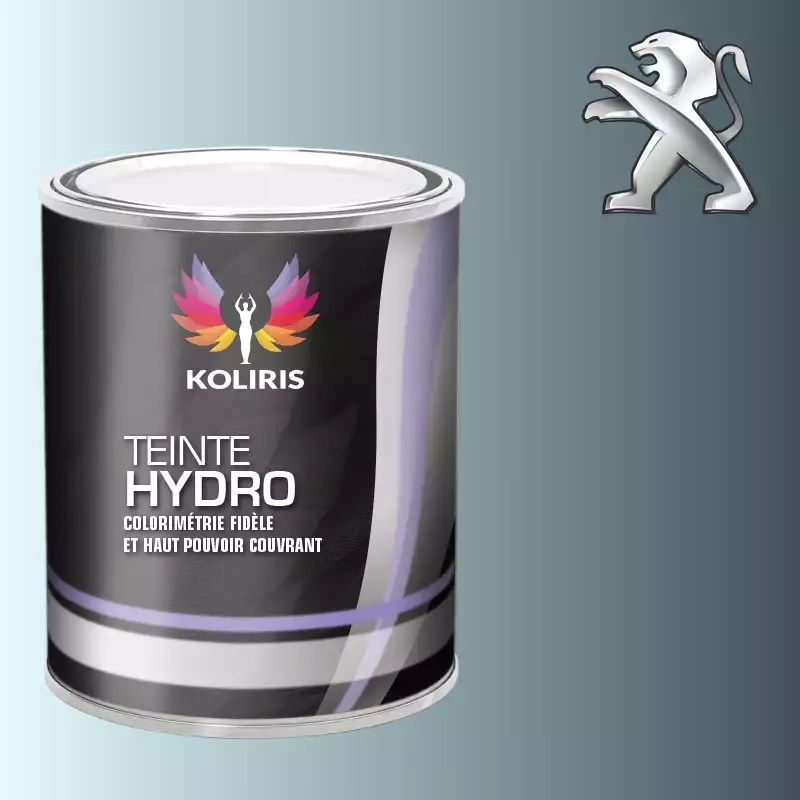 Peinture voiture hydro Peugeot