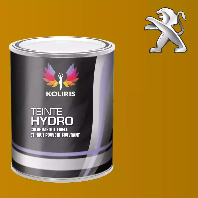 Peinture voiture hydro Peugeot