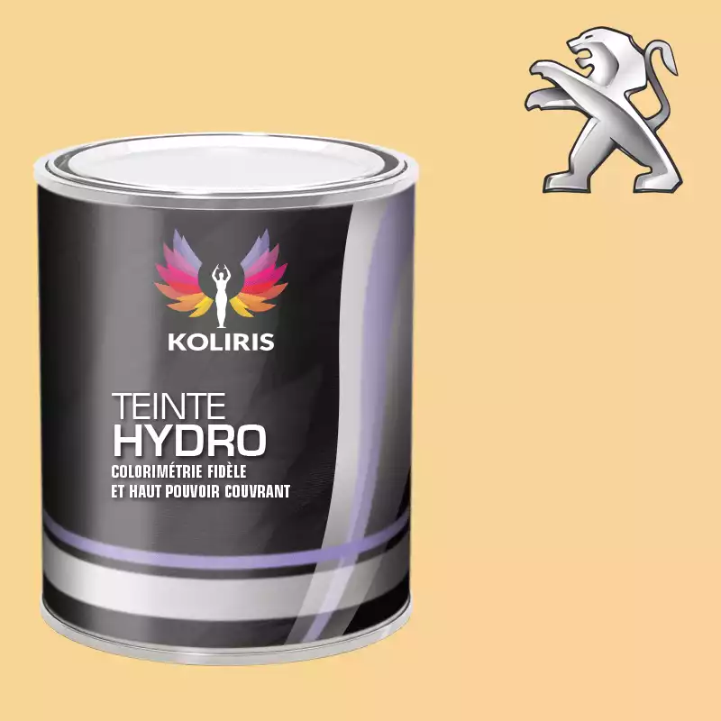 Peinture voiture hydro Peugeot