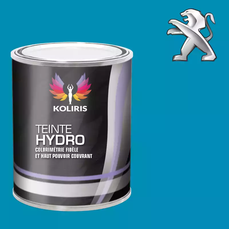 Peinture voiture hydro Peugeot