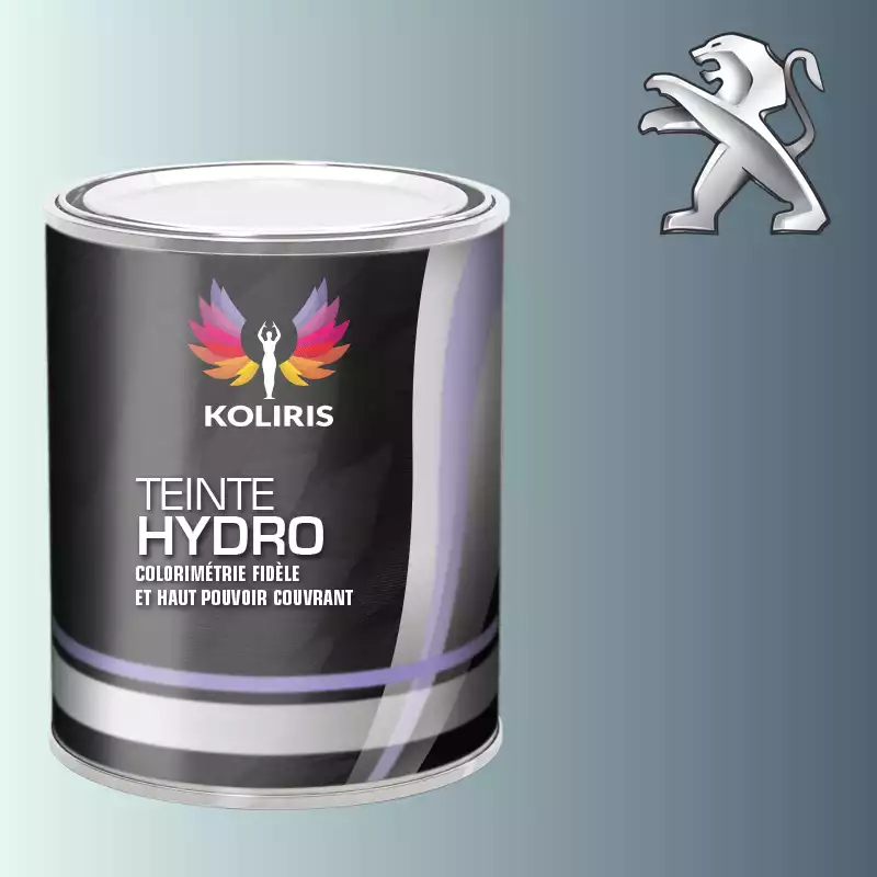 Peinture voiture hydro Peugeot