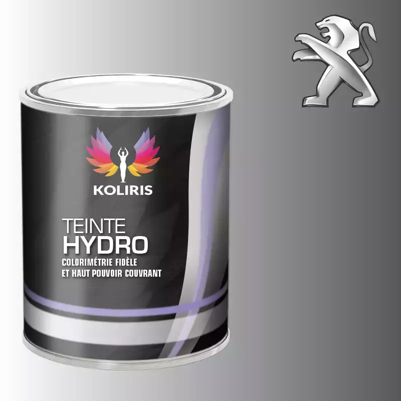 Peinture voiture hydro Peugeot