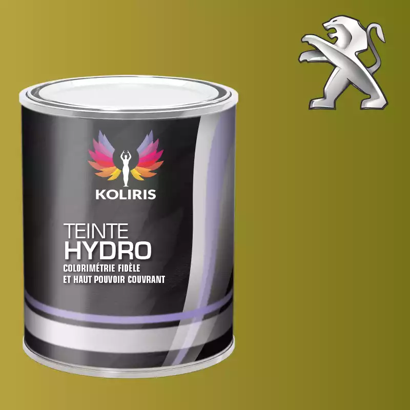 Peinture voiture hydro Peugeot