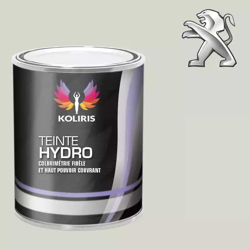 Peinture voiture hydro Peugeot