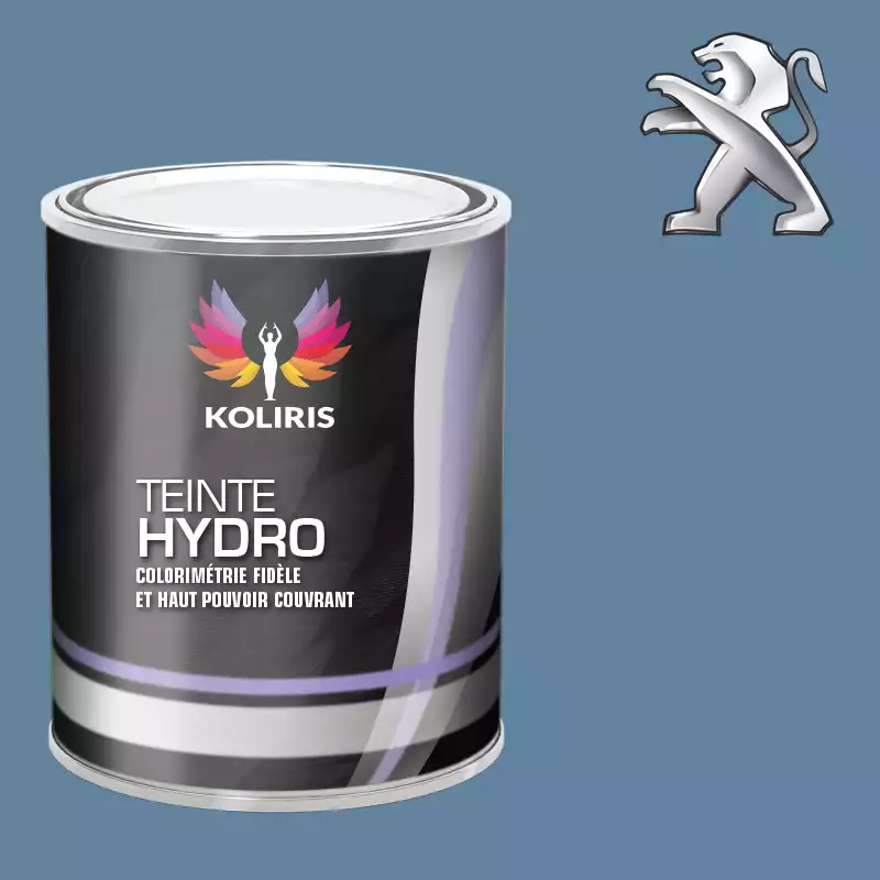 Peinture voiture hydro Peugeot