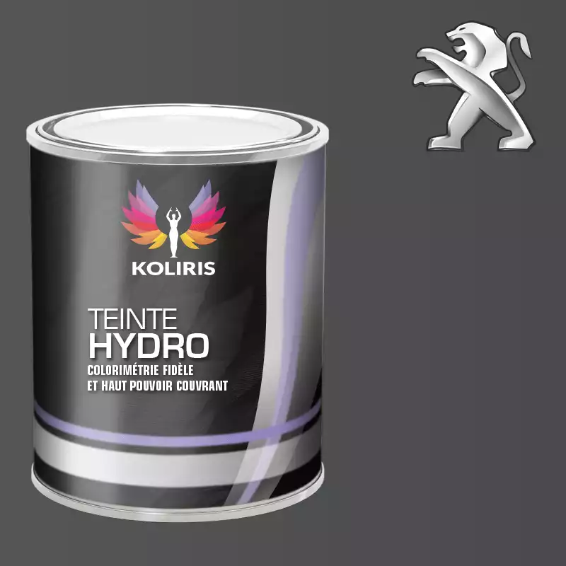 Peinture voiture hydro Peugeot