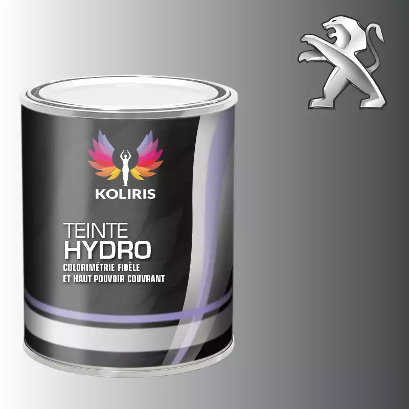 Peinture voiture hydro Peugeot