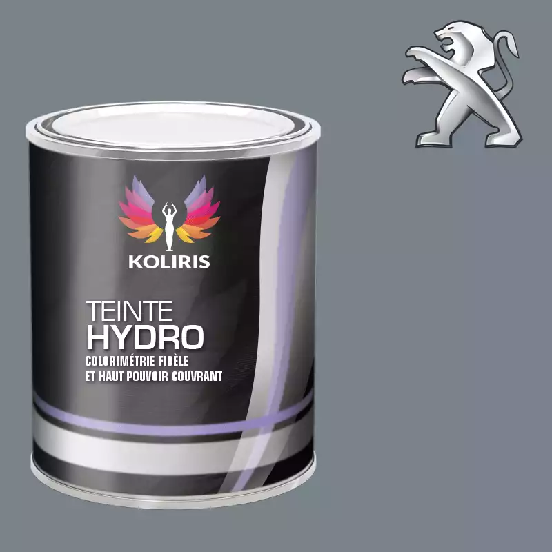 Peinture voiture hydro Peugeot