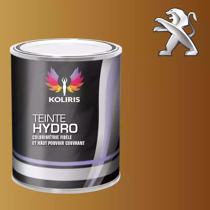 Peinture voiture hydro Peugeot