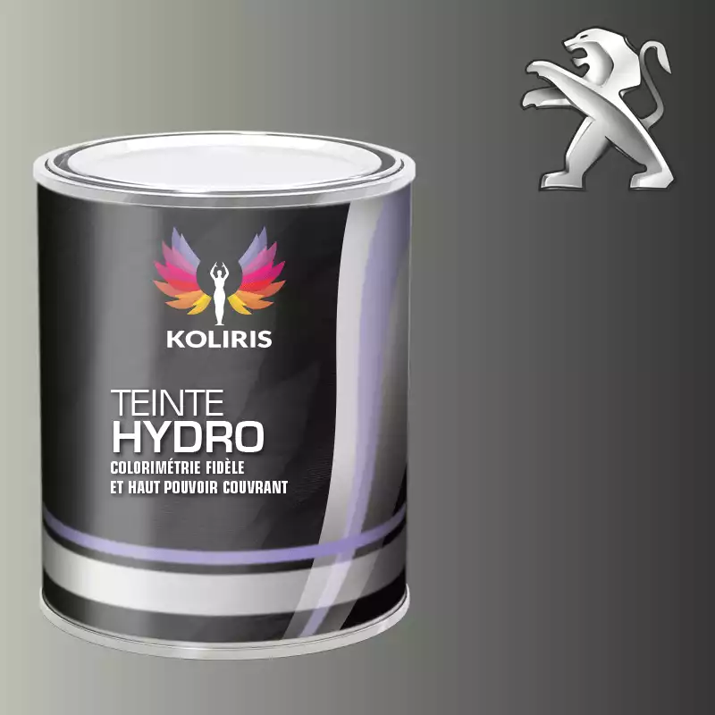 Peinture voiture hydro Peugeot