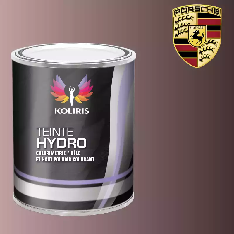 Peinture voiture hydro Porsche