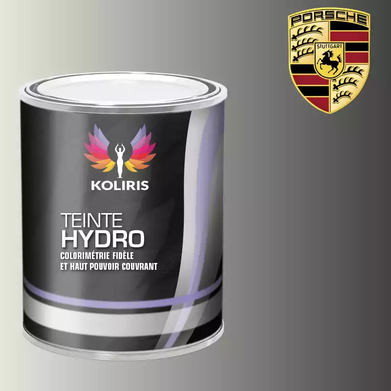 Peinture voiture hydro Porsche