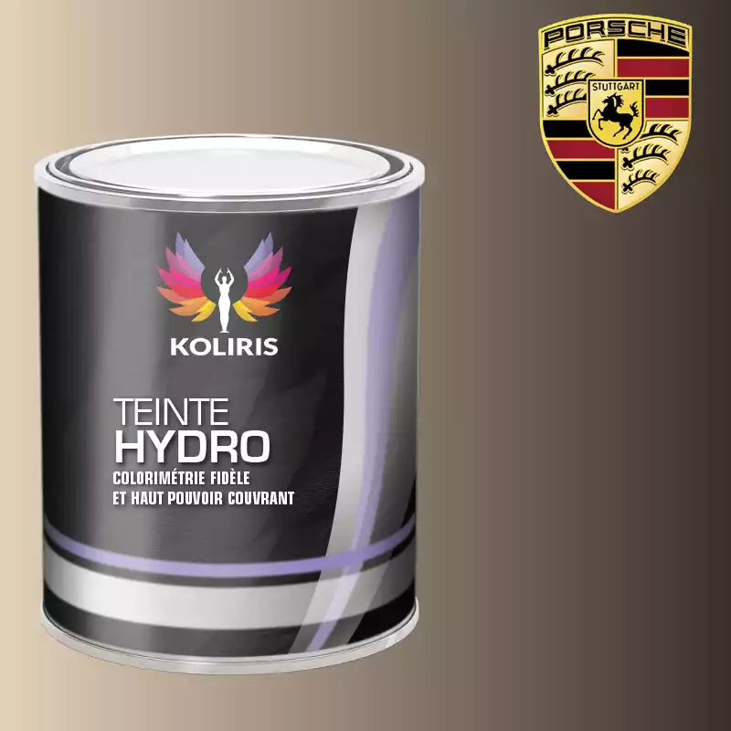 Peinture voiture hydro Porsche