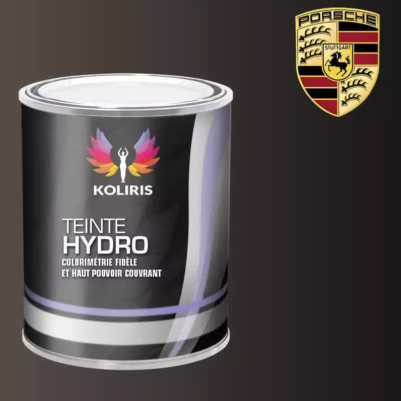 Peinture voiture hydro Porsche