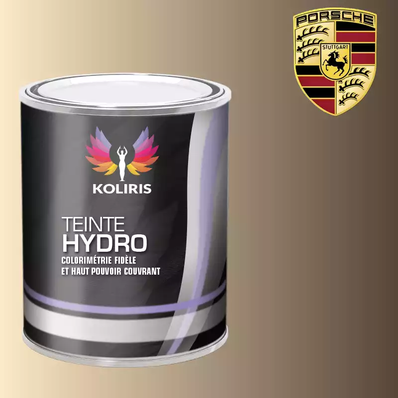 Peinture voiture hydro Porsche