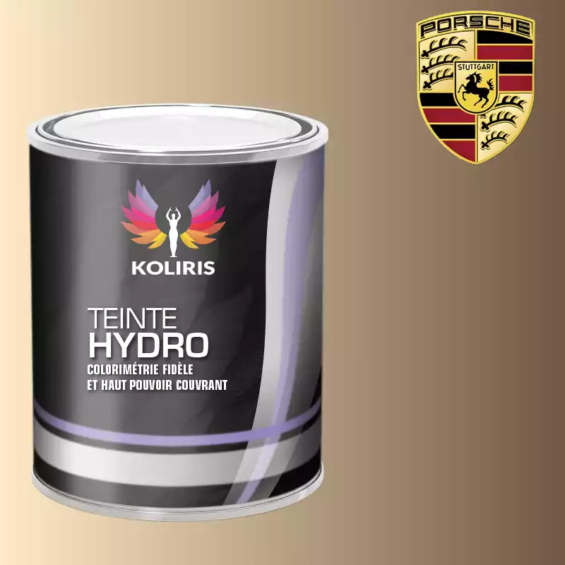 Peinture voiture hydro Porsche