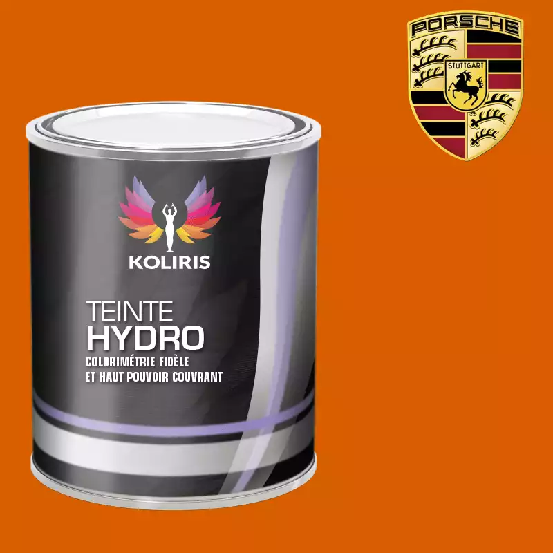 Peinture voiture hydro Porsche