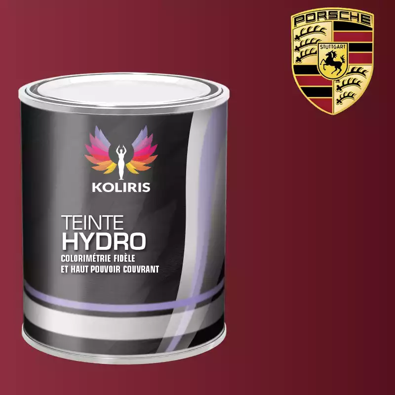 Peinture voiture hydro Porsche