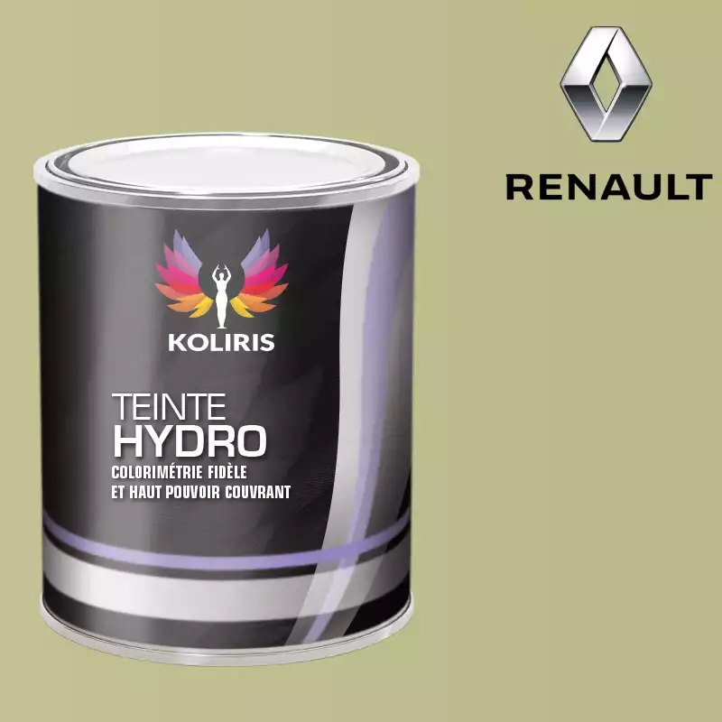 Peinture voiture hydro Renault