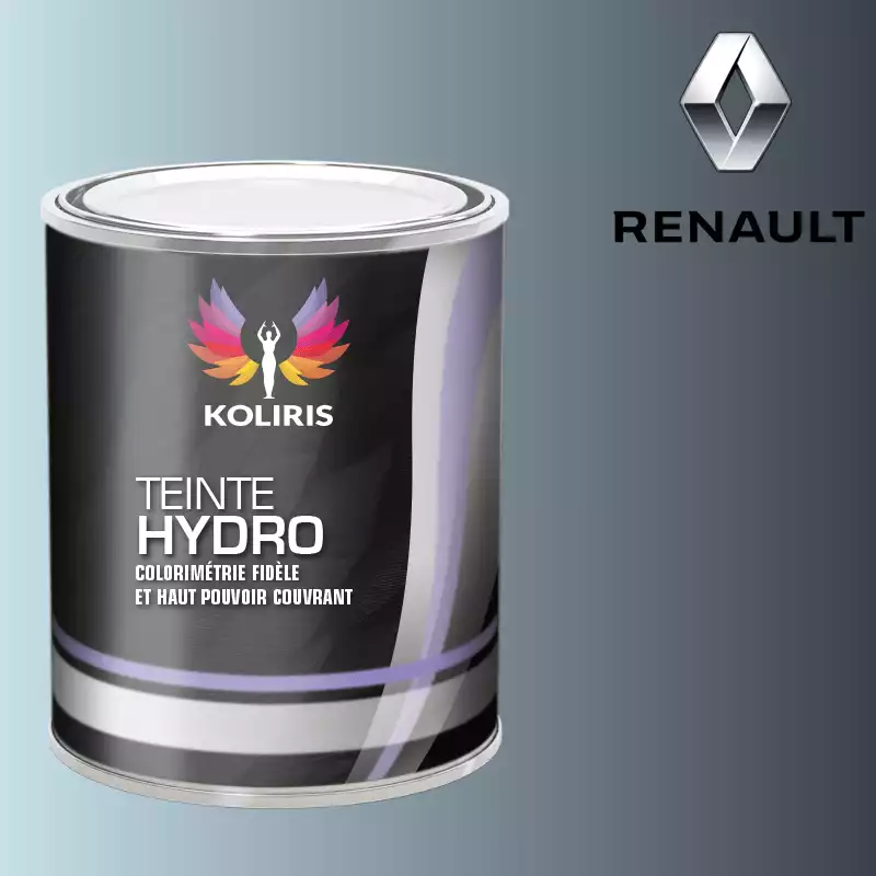 Peinture voiture hydro Renault