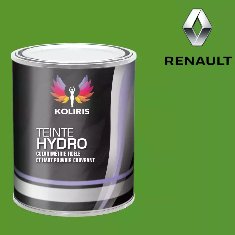 Peinture voiture hydro Renault