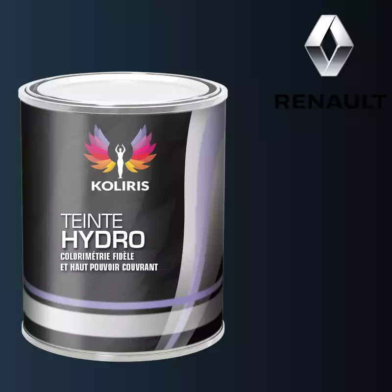 Peinture voiture hydro Renault