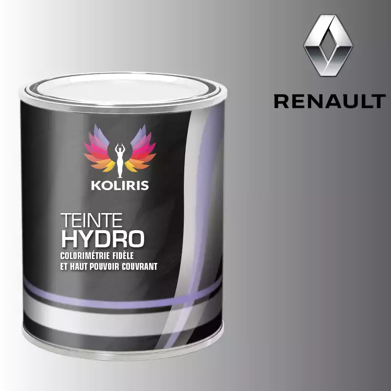 Peinture voiture hydro Renault