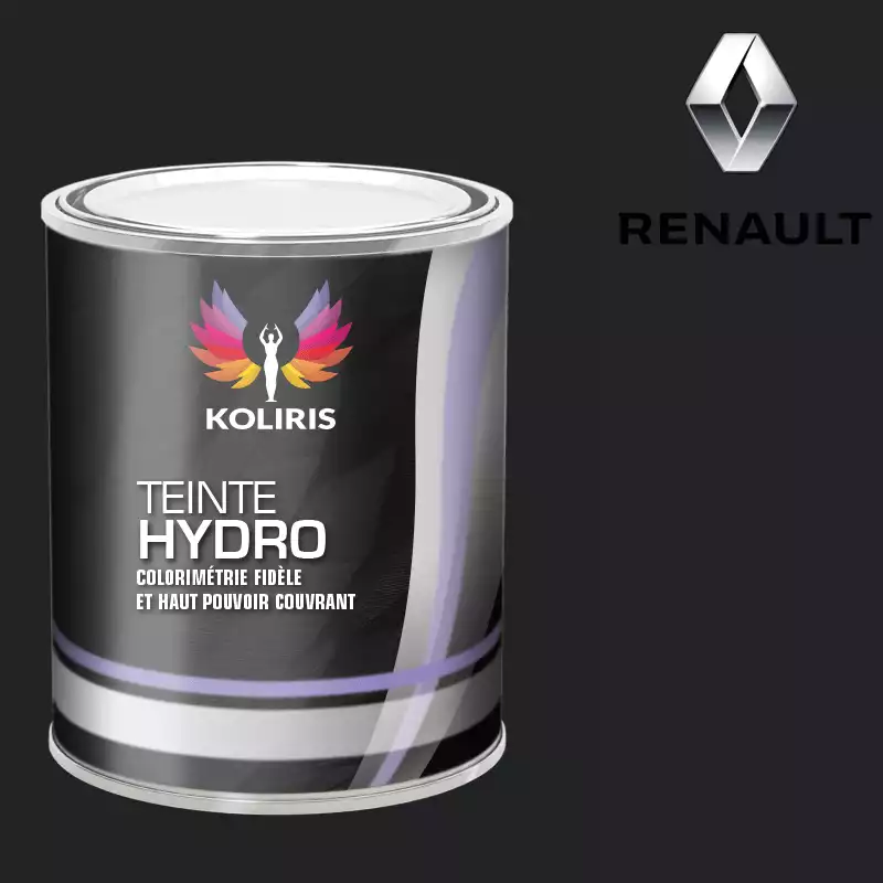 Peinture voiture hydro Renault